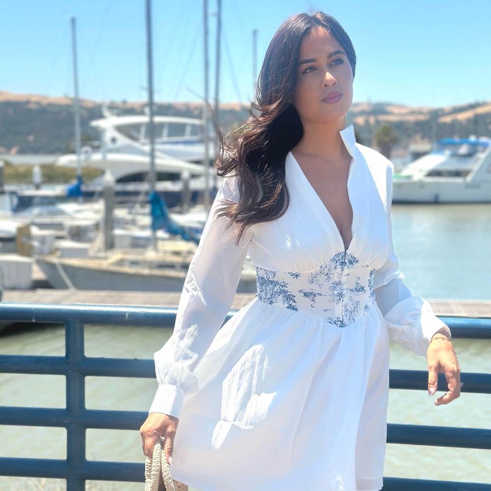 Windsor White and Blue Mini Dress